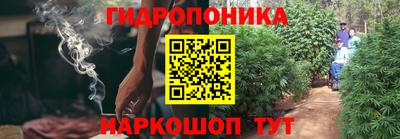 прущие грибы Краснокаменск