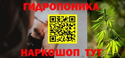 индика Краснознаменск