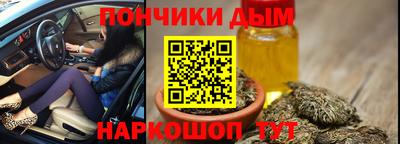 индика Краснознаменск