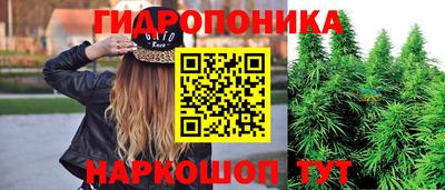 индика Краснознаменск